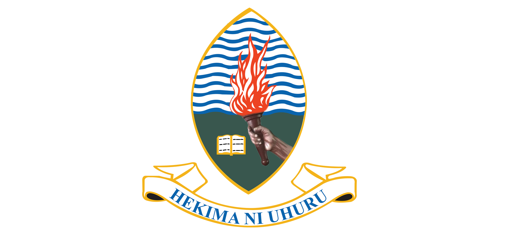 UDSM Logo